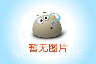 小优视频破解版牌手拉葫芦配件摩擦片